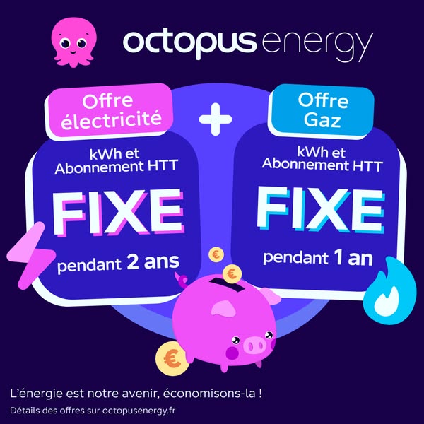 This image ad compares electricity and gas plans by Octopus Energy. Each energy type is presented as a visually distinct