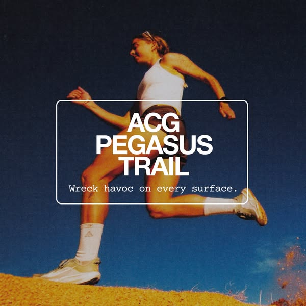 An image ad for ACG Pegasus Trail sneakers, showcasing their ability to 'wreck havoc on every surface' with an i