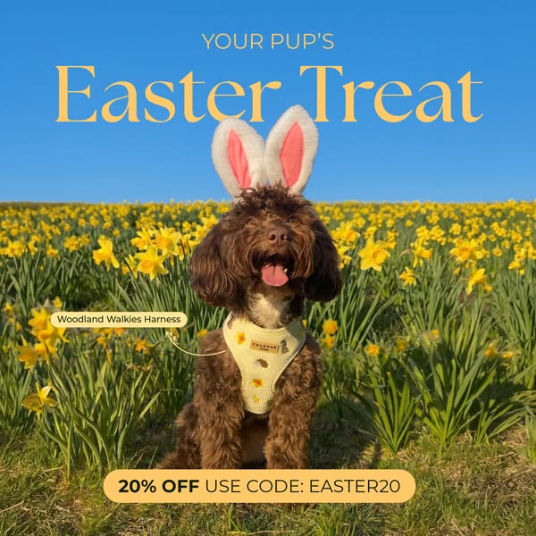 This image ad for Woodland Walkies promotes their harness as an Easter treat for your pup. It showcases a brown dog wear