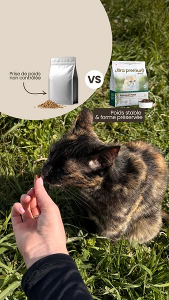 This ad compares a generic cat food with Ultra Premium Direct cat food, highlighting the latter's benefits for maint