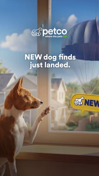 This image ad from Petco uses the visual of a dog looking out the window at a parachute carrying a talk bubble that read