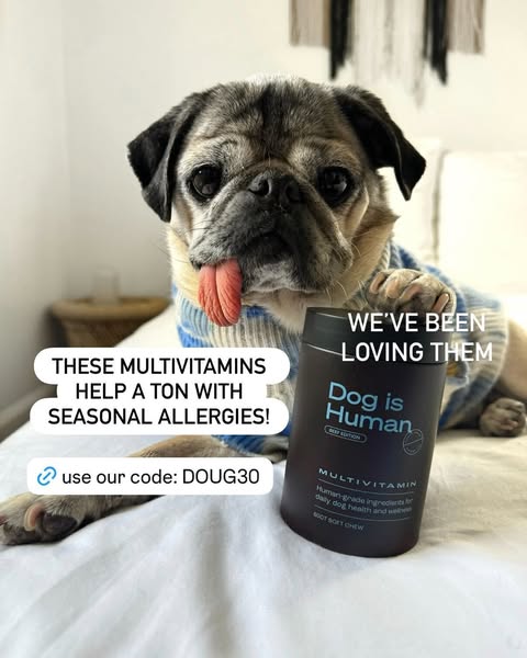 Doug The Pug ad
