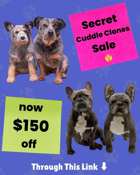 This image ad for Cuddle Clones is designed to catch the eye of pet owners who are looking for a way to memorialize or p