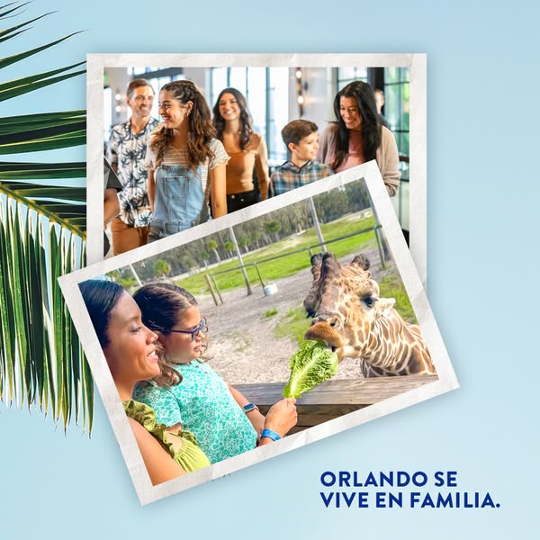 This image ad for Orlando features two photos of families enjoying a day at a zoo or amusement park.