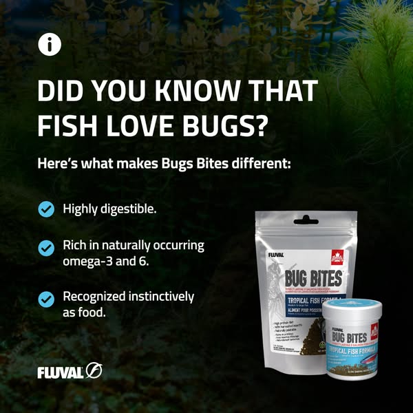 This image ad promotes Fluval Bug Bites, highlighting the benefits of bug-based food for fish. The ad uses an informativ