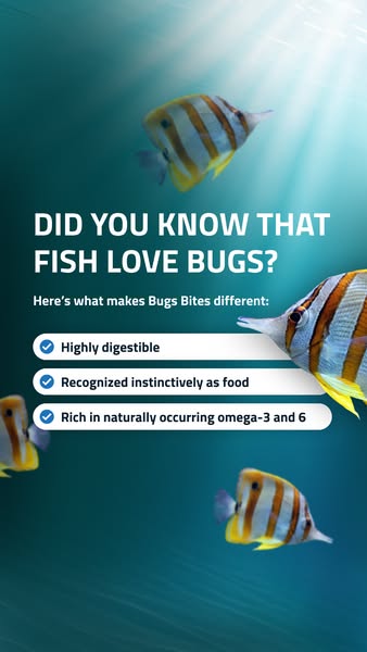 This ad is designed to make you aware that fish like to eat bugs, and highlight the benefits of Bugs Bites as fish food.