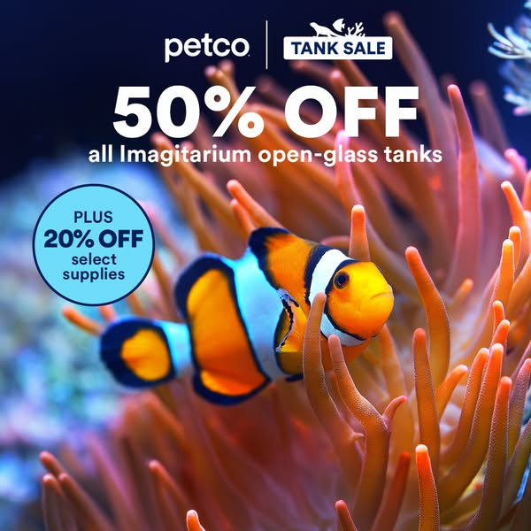 This image ad from Petco promotes a sale on Imagitarium open-glass tanks, offering 50% off, as well as an additional 20%