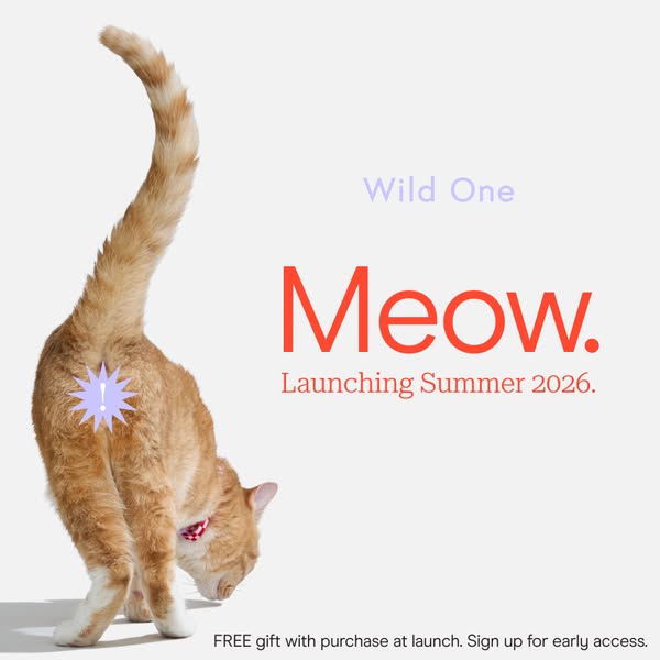 This ad for Wild One teases the release of a cat product line, called Meow. It features an orange tabby cat turned away 