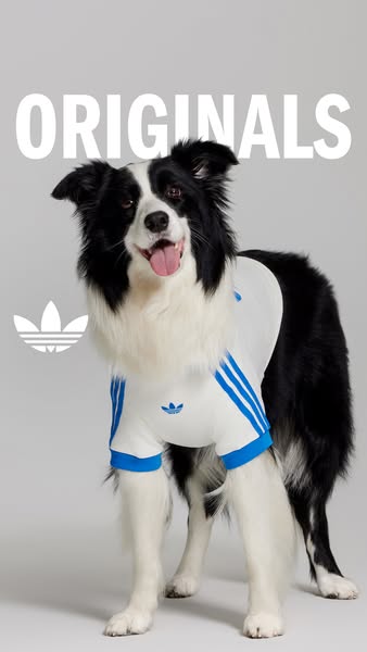 adidas ad