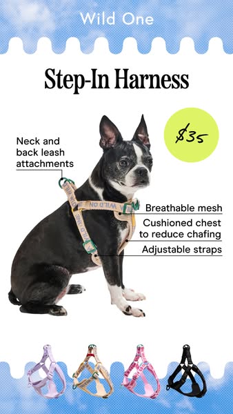 This image ad features a Wild One step-in harness, highlighting its features and benefits. The ad aims to attract dog ow