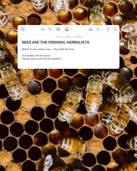 The Honeystead ad
