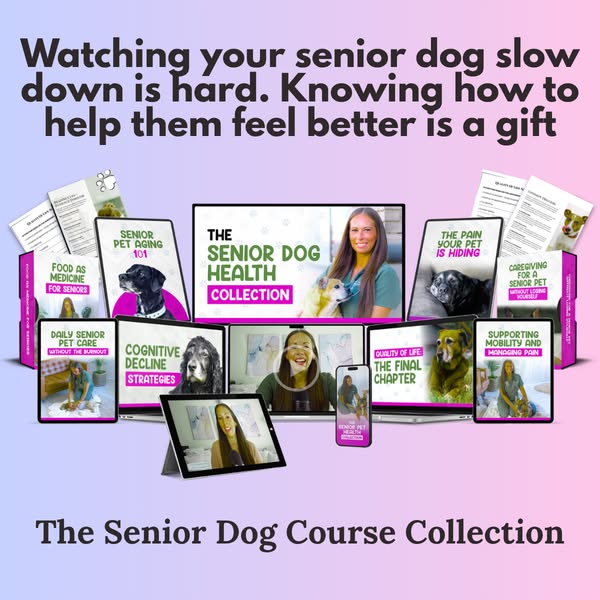 Dr. Shannon Nash ad
