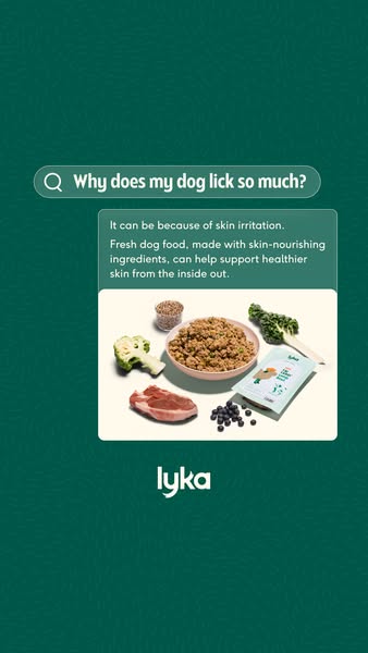 Lyka Pet Food ad