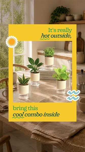 The image ad showcases a selection of small potted plants presented as a 'cool combo' to bring the outdoors insi