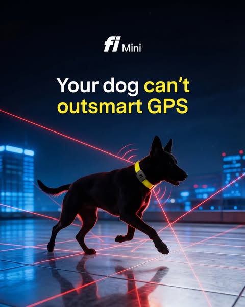 An image ad for Fi Mini GPS dog collar that shows a dog running in a city setting with neon red lines highlighting GPS t