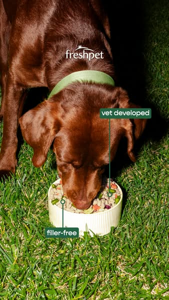 Freshpet ad