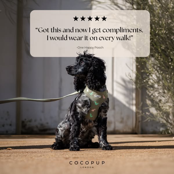 The ad features a testimonial from a happy customer about a dog harness from Cocopup London. The ad uses a quote from a 