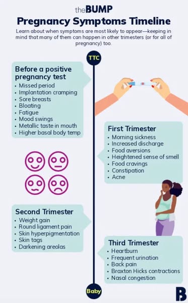 This ad features a timeline that illustrates common pregnancy symptoms, organized by trimester. The graphic provides inf