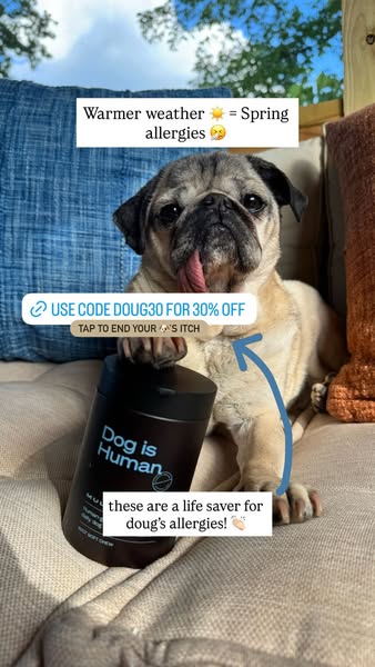 Doug The Pug ad
