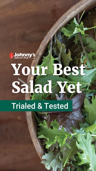 This image ad for Johnny's Selected Seeds features a close-up of a wooden bowl filled with fresh salad greens. The a