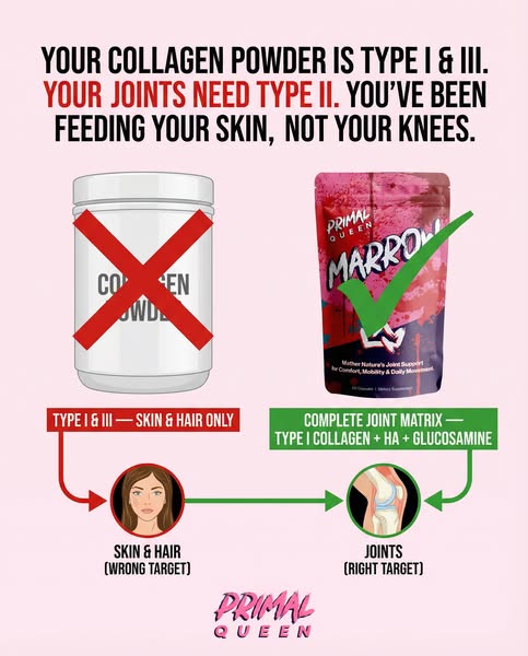 This image ad for Primal Queen Marrow targets consumers with joint pain by educating them about the different types of c