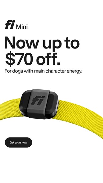 This ad promotes Fi Mini with an offer of up to $70 off, targeting dog owners who consider their pets to have a unique o