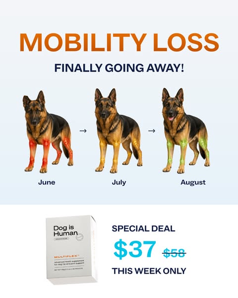 Dog is Human ad