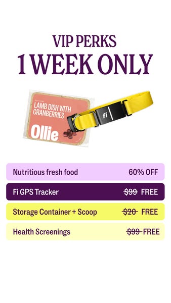 This ad highlights the benefits of being an Ollie VIP member. It provides a promotional offer for new members, with disc