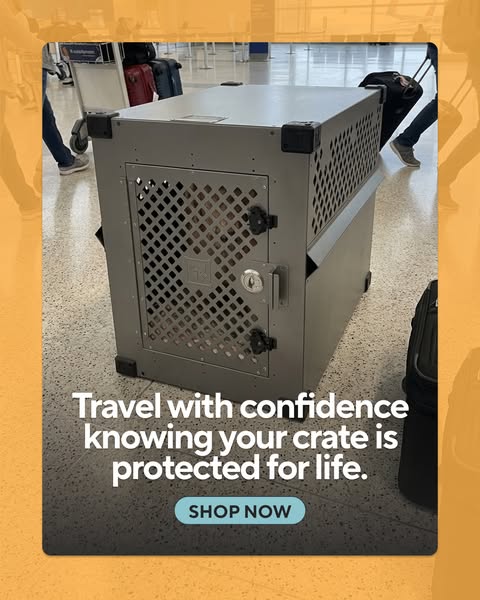Impact Dog Crates ad