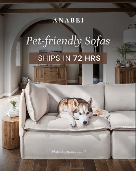 This ad promotes Anabei's pet-friendly sofas, highlighting their fast shipping and durability with a dog lounging co