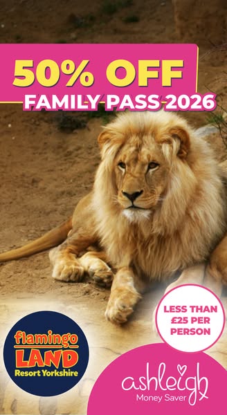 Ashleigh Money Saver ad