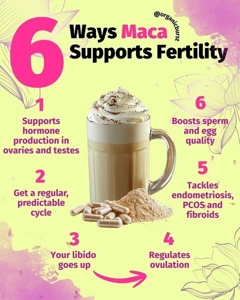 The ad highlights six benefits of Organic Burst Maca for fertility support, aiming to educate and attract individuals se