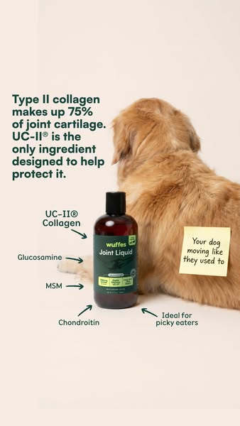 This image ad highlights the benefits of Wuffes Joint Liquid for dogs, particularly its ability to help protect joint ca