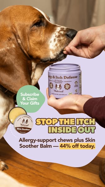This image ad promotes the brand Natural Dog Company and highlights an offer of 44% off allergy-support chews plus skin 