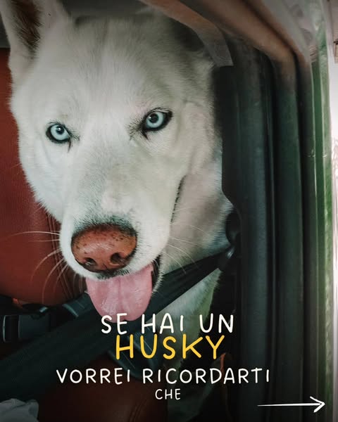 Donnecheviaggianocoilupi ad