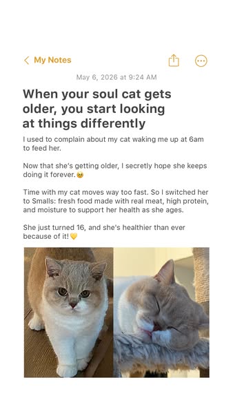 The ad features a screenshot of a note about feeding a cat Smalls food. There are two pictures of the cat at the bottom.