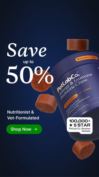 This ad promotes PetLab Co.'s Allergy & Immune Probiotic Chew for medium dogs. It emphasizes the product's f