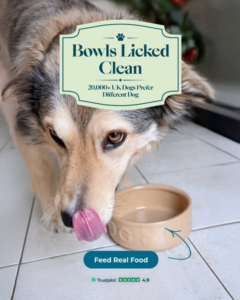 Different Dog ad