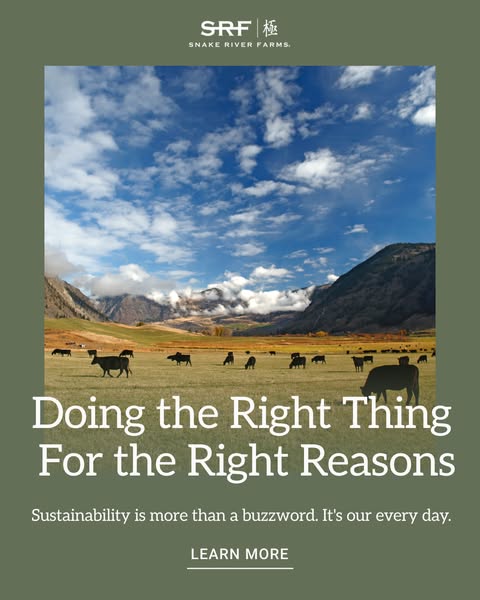 The image ad for Snake River Farms features a serene landscape with cattle grazing, emphasizing sustainability and ethic