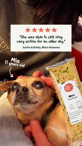 The Farmer's Dog ad