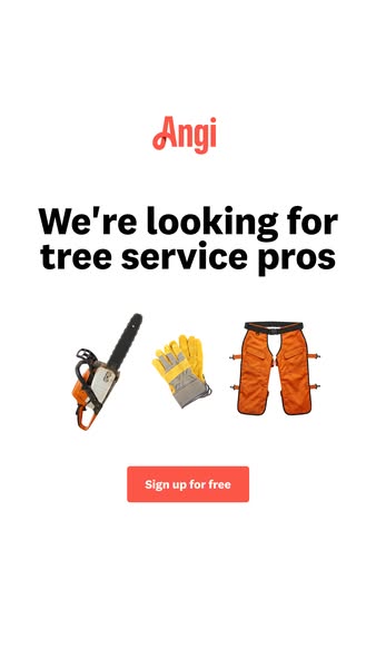 Angi ad