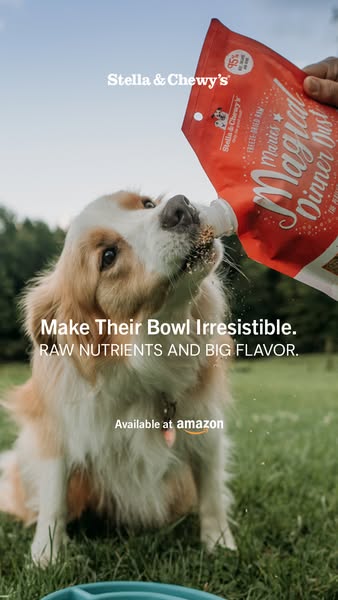 This ad shows a dog owner pouring Stella & Chewy's Marie's Dinner Dust into their dog's food bowl, imply