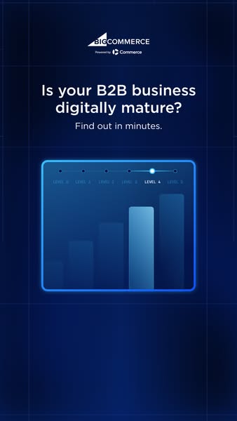 This ad is for BigCommerce and asks, "Is your B2B business digitally mature?" It then prompts the user to &quo
