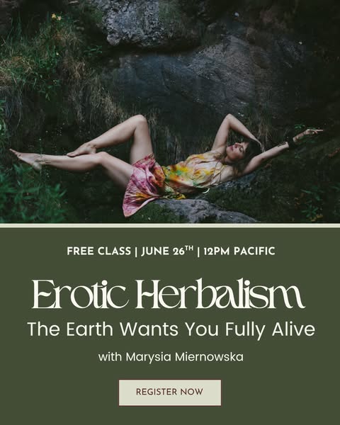 School of the Sacred Wild : Regenerative Healing for Earth & People ad