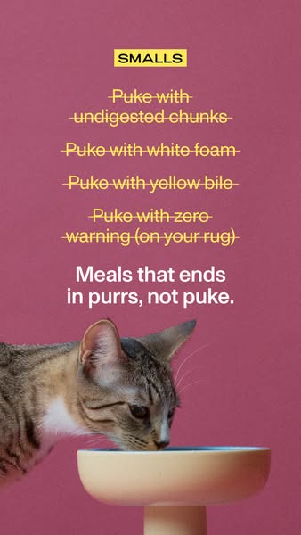 This ad for Smalls cat food highlights the common problem of cats throwing up their food and positions Smalls as the sol