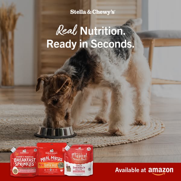 This ad for Stella & Chewy's features a dog eating from a bowl, with three bags of food mix-ins visible. The ad 