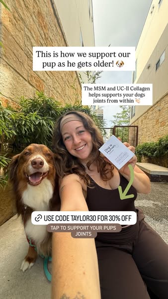 Dog is Human ad
