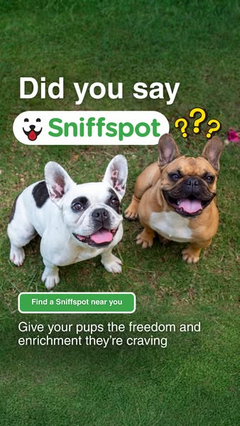 This ad features two dogs in the grass and asks the question: Did you say Sniffspot??? The ad promotes Sniffspot as a pl