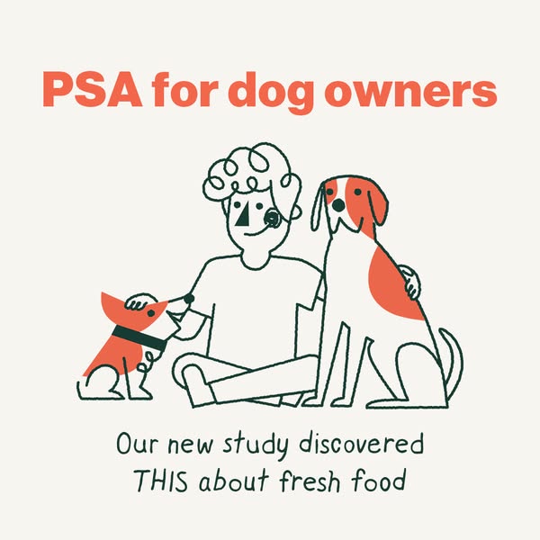 This ad features a cartoon illustration of a person with two dogs alongside messaging related to fresh dog food.