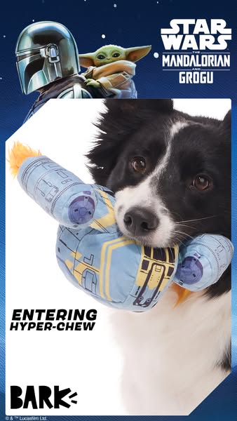 This ad features a dog chewing on a Star Wars-themed toy shaped like a spaceship. The ad is promoting a collaboration be